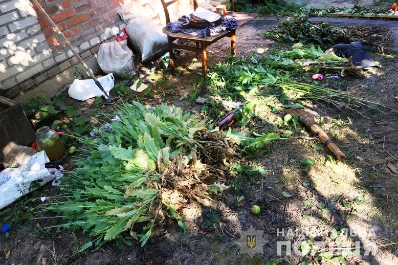 25-річній вінничанці загрожує тюрма за вирощування наркотичних рослин (ВІДЕО)