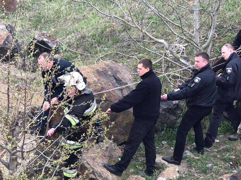 На Вінниччині собака затягнув свого власника у кар`єр 20-метрової глибини