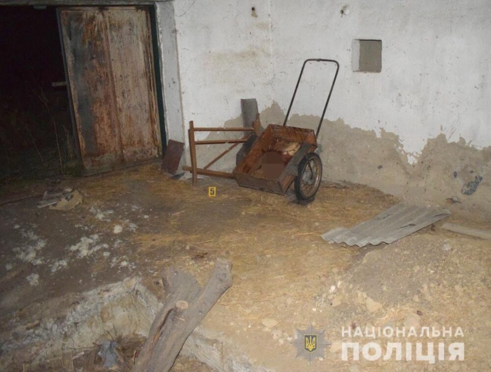 (без назви)